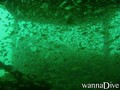 Fotos de busseig