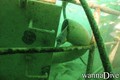 Fotos de busseig