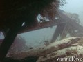 Fotos de busseig