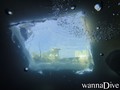 Fotos de busseig