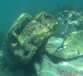 Fotos de busseig