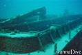 Fotos de busseig