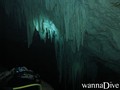 Fotos de busseig