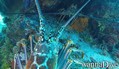 Fotos de busseig