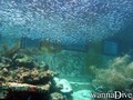 Fotos de busseig