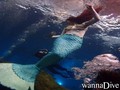 Fotos de busseig