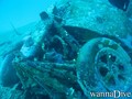 Fotos de busseig