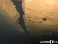 Fotos de busseig