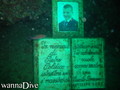 Fotos de busseig