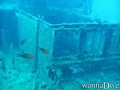 Fotos de busseig