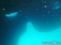 Fotos de busseig
