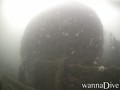 Fotos de busseig